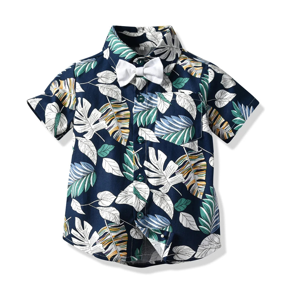 Conjunto Selva oscuro