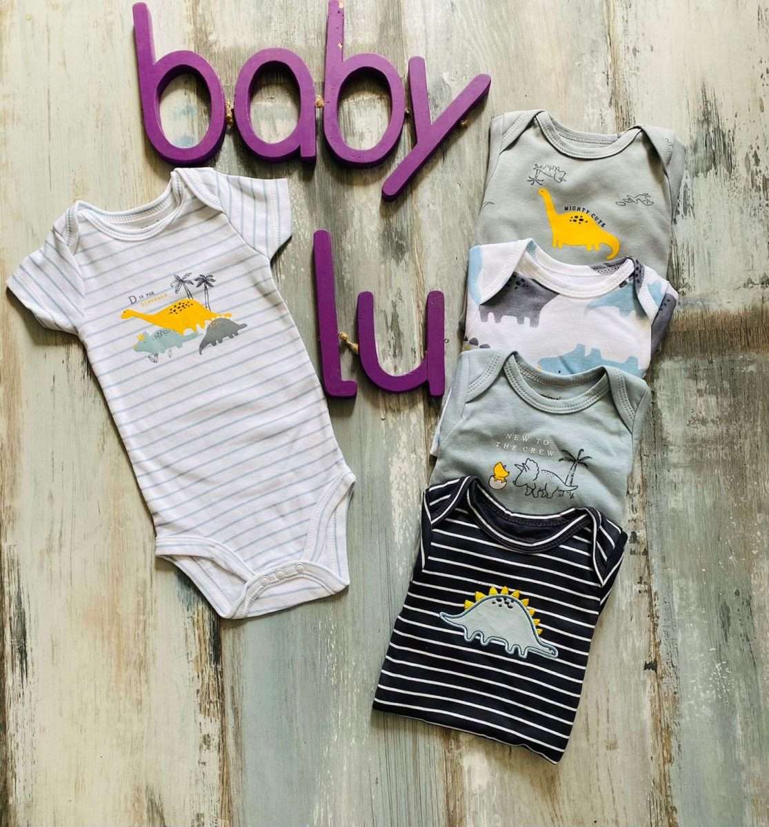 Set de 5 body Dino celeste