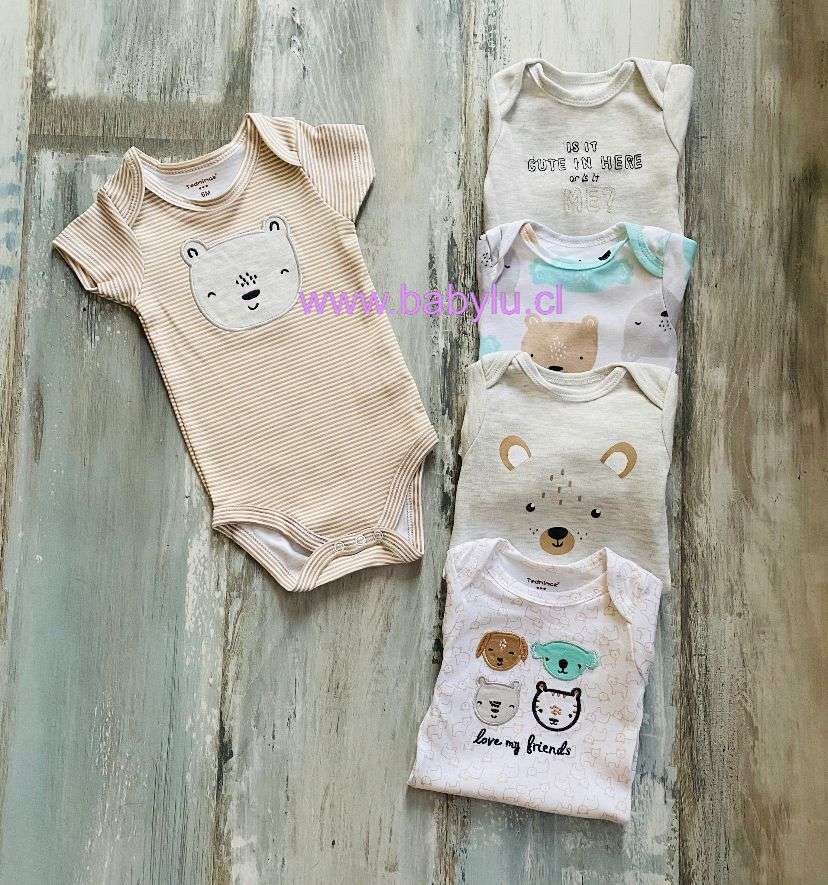Set de 5 body Osito