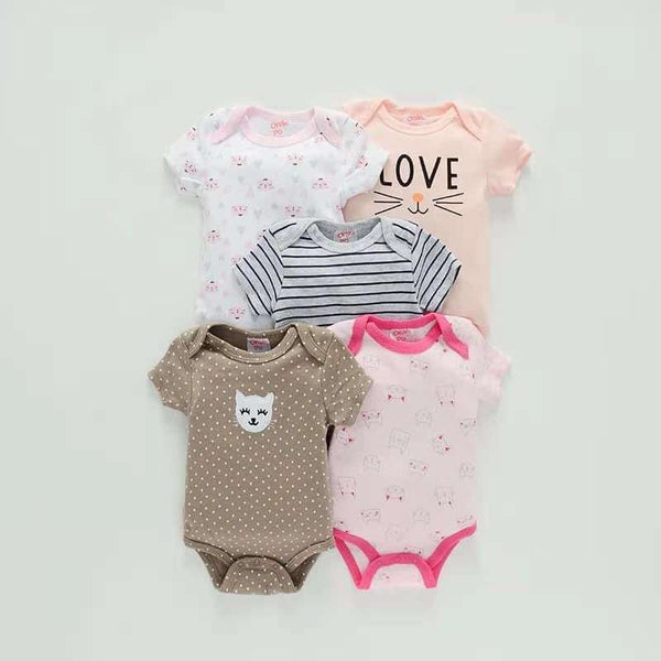 Set de 5 body Manga corta Cat