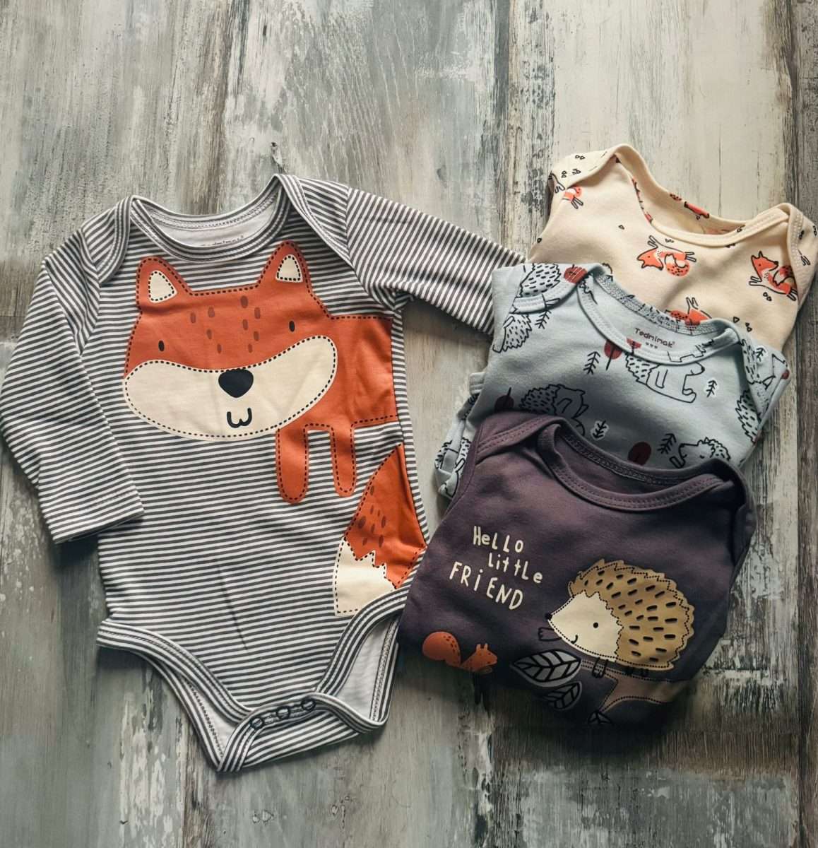 Set de 4 body Zorrito bebe